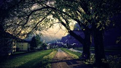 Landscapes Trees Mountains paths