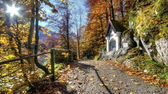 Landscapes Trees Mountains paths forests