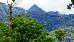 Landscapes Trees Mountains skies
