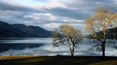 Landscapes Trees Mountains skyscapes