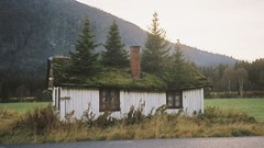 Landscapes Trees Mountains spruce Plants roads houses chimney 