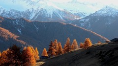 Landscapes Trees Mountains sunlight