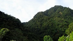 Landscapes Trees Mountains sunlight skies