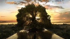 Landscapes Trees Movies The Fountain lakes Tree Of Life
