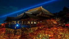 Landscapes Trees night lights Japan Temples forests
