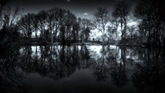 Landscapes Trees night water dark black and white monochrome 