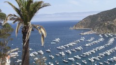 Landscapes Trees ocean Boats palm trees