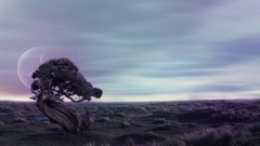 Landscapes Trees outer space