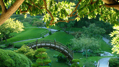 Landscapes Trees Parks