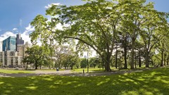 Landscapes Trees Parks cityscapes