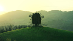 Landscapes Trees Photo manipulation