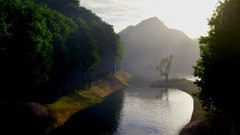 Landscapes Trees pine trees