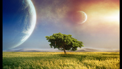 Landscapes Trees planets Photo