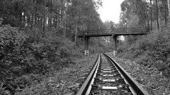 Landscapes Trees railway railroad tracks railroads