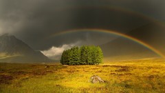 Landscapes Trees rainbows