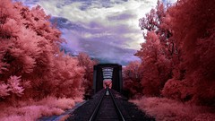 Landscapes Trees red colors Bridges skyscapes trains 