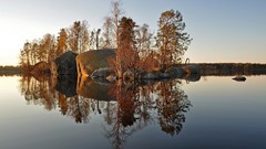 Landscapes Trees reflections