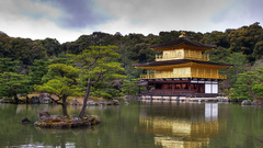 Landscapes Trees rivers