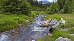 Landscapes Trees rivers