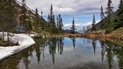 Landscapes Trees rivers