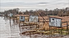 Landscapes Trees rivers