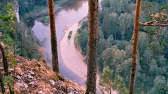 Landscapes Trees rivers forests