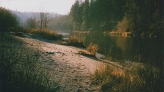 Landscapes Trees rivers forests