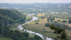 Landscapes Trees rivers nature