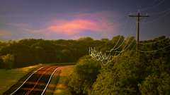 Landscapes Trees roads