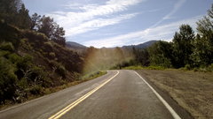 Landscapes Trees roads