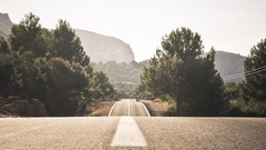 Landscapes Trees roads