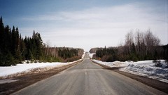 Landscapes Trees roads
