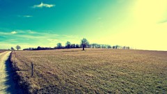 Landscapes Trees roads fields sunlight skyscapes
