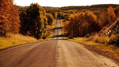 Landscapes Trees roads skylines