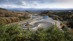 Landscapes Trees roads skyscapes