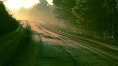Landscapes Trees roads skyscapes