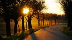 Landscapes Trees roads sunlight