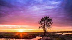 Landscapes Trees roads sunlight