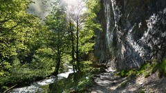 Landscapes Trees rock trail path sunlight forests