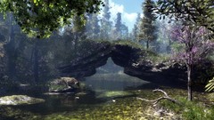 Landscapes Trees rocks forests ponds cgi