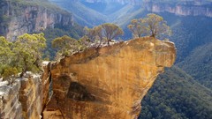Landscapes Trees rocks hanging