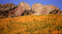 Landscapes Trees rocks nature
