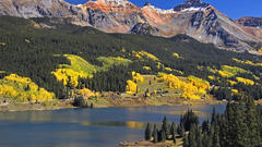 Landscapes Trees skylines forests