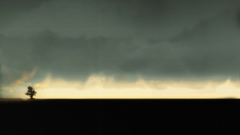 Landscapes Trees skyscapes