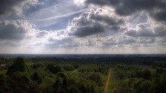 Landscapes Trees skyscapes