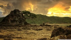 Landscapes Trees skyscapes