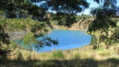 Landscapes Trees small Lake