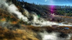 Landscapes Trees smoke