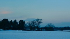 Landscapes Trees snow