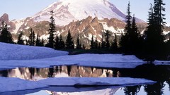 Landscapes Trees snow